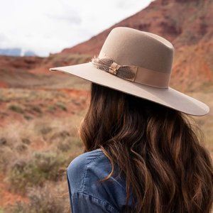 Women's Stetson brown wool hat